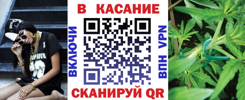  COCAIN Болотное