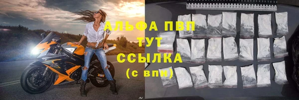 дмт Покачи