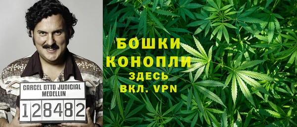твердый Абаза
