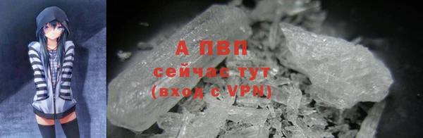 твердый Абаза