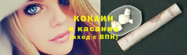индика Абдулино