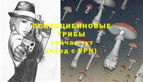 бошки Покров
