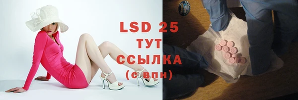 твердый Абаза