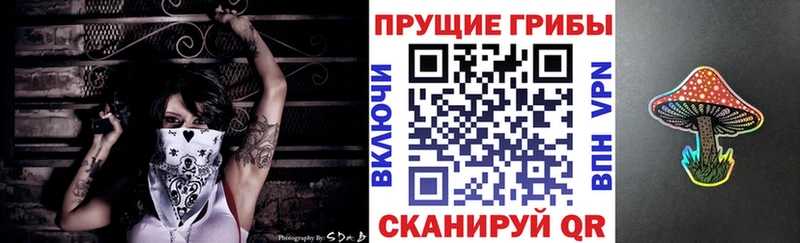 Псилоцибиновые грибы Magic Shrooms  закладки  Болотное 