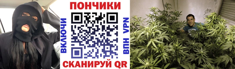 МАРИХУАНА LSD WEED  Болотное 